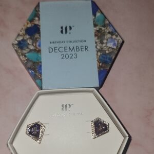 December Birthstone Purple Crystal Stud Earrings - Gold-Tone